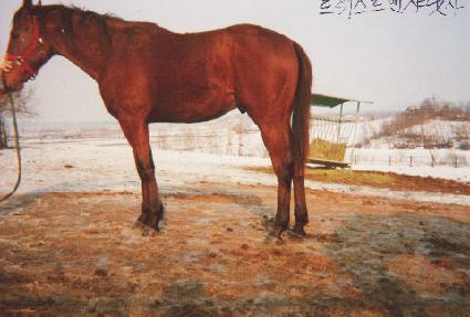 ���� ����