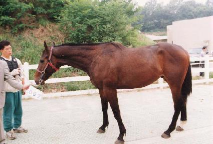 �¾ؼ� ����