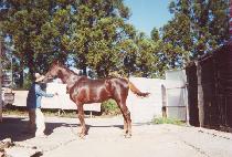 ���Ư�� (HIMANG TEUKGEUP) ����