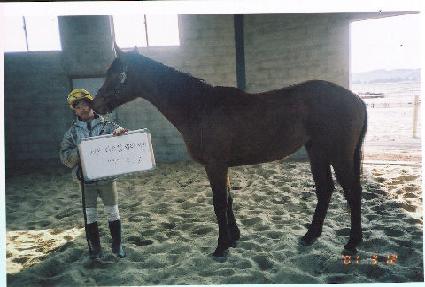 ��ϻ� ����