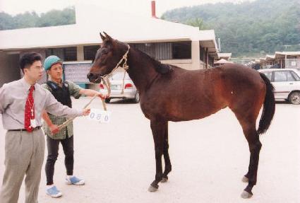 ���� ����