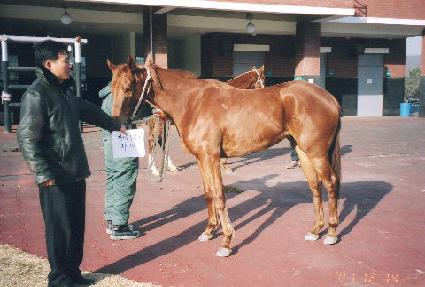 ���Ͻ� ����