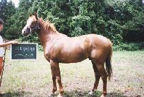 ���°�� (MODERN JAZZ) ����