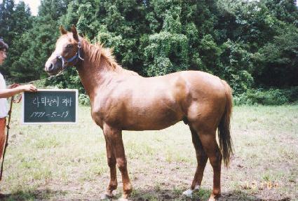 ���°�� ����