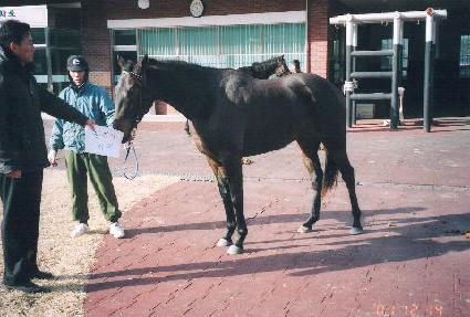 õ���뼺 ����