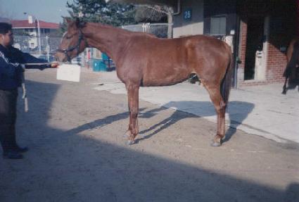 ��⳪ ����