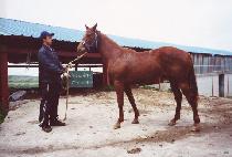 ����Ʈ (LONG HIT) ����