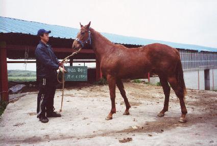 ����Ʈ ����