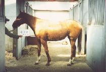 ���ϰ� (EUNHAGYE) ����