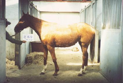 ���ϰ� ����