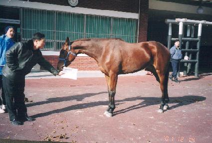 ȭ�� ����