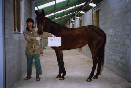 ����ž ����