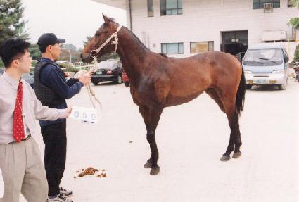 ���� ����