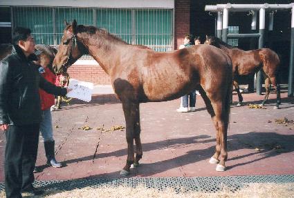 ������� ����