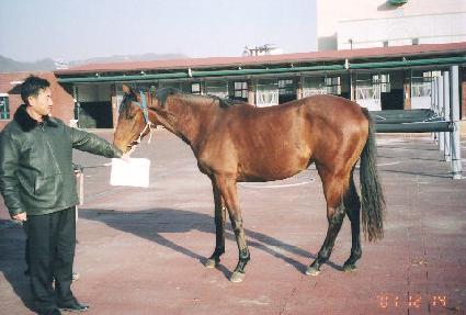 ��Ű� ����