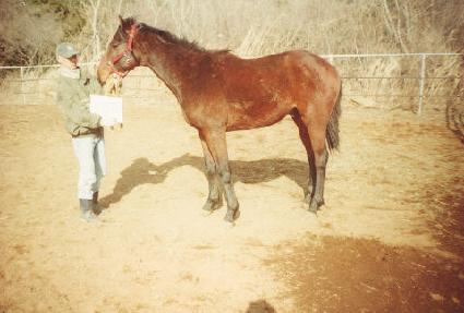 ���� ����