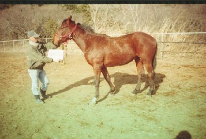 ���̴��� ����