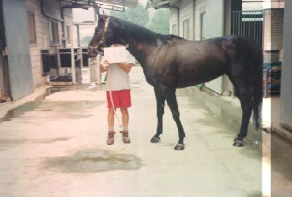 ����� ����