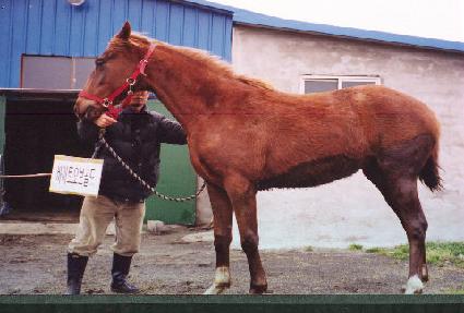 �԰��Բ� ����