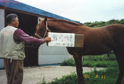 ����Ŀ ����