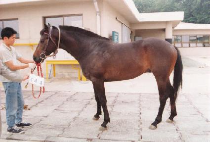 ���ϵ���� ����