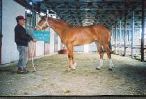 ��¸��� (SANGSEUNG MANSE) ����