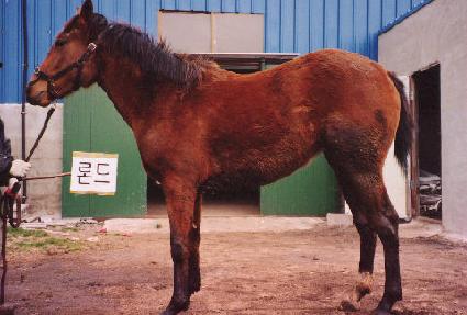 �ؾ��屺 ����