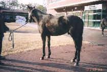 ���μ��� (SEORO SEORO) ����