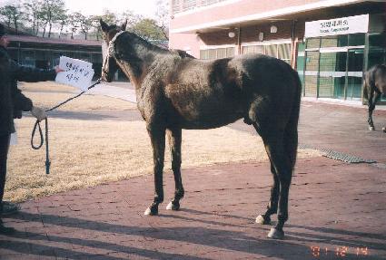 ���μ��� ����