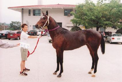 ���̷��� ����