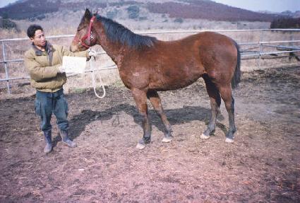 �屺�ô� ����