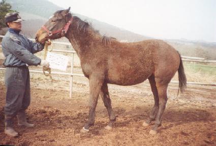 �����ô� ����