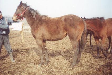 ���̽��ǵ� ����