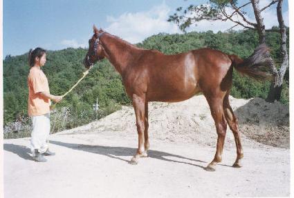 �������� ����