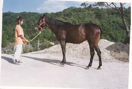 ��ġ���� ����