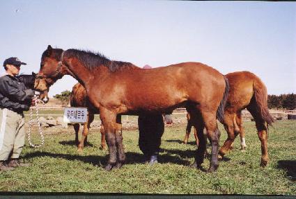 ù���� ����