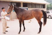 ������ (SAEWANGJA) ����