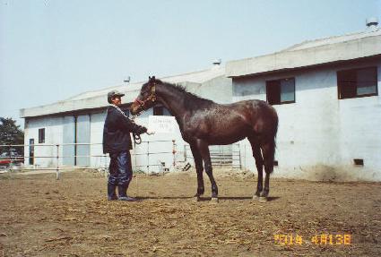 ��ȭ�� ����