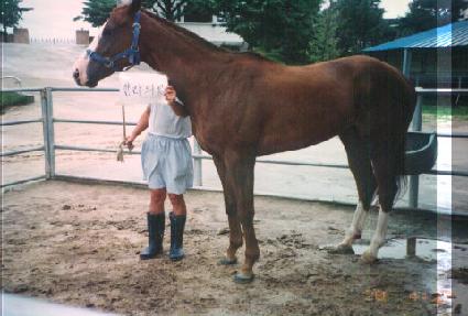 �Ѷ��Ǻ� ����