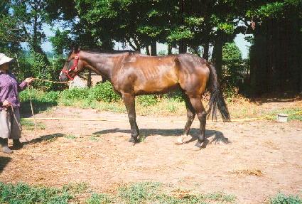 �ʻ� ����