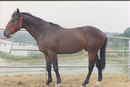 ���ʴ� ����