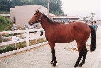 �žȺ��� (SINAN BOMUL) ����