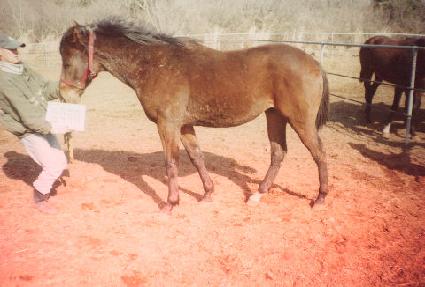 ������ﰢ ����