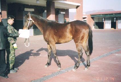 ����� ����