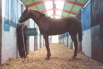 ��º��� (SANGSEUNG BIHAENG) ����