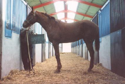 ��º��� ����