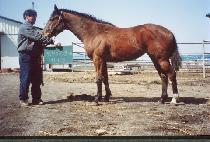 �������⵵�� (MAREUGO DALTOROK) ����