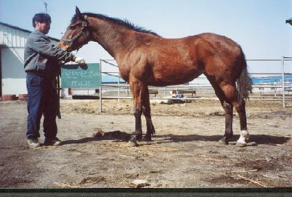 �������⵵�� ����