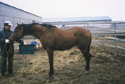 ĳ�� ����