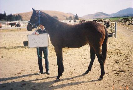 ��Ϻ� ����